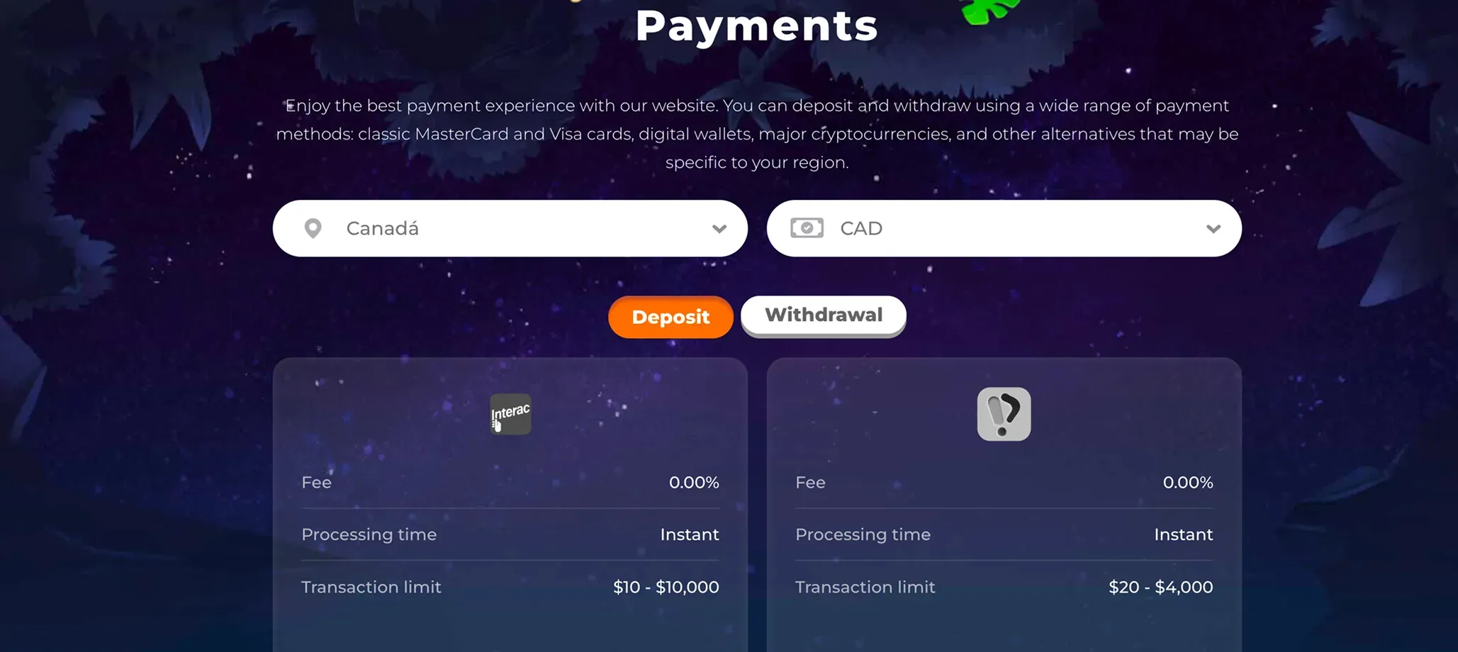 payments 14_converted.webp